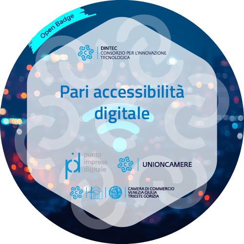 Pari accessibilità digitale